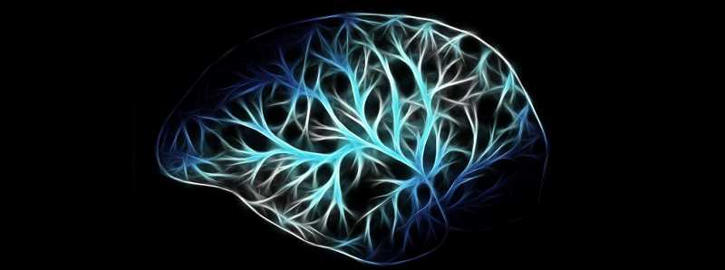 Il cervello compensa il declino cognitivo in età avanzata