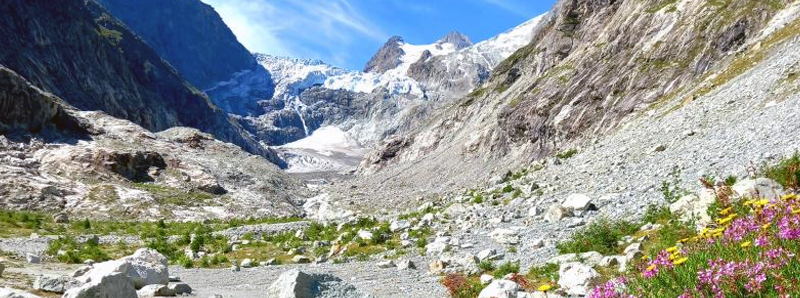 Ecosistema indebolito dal ritiro dei ghiacciai