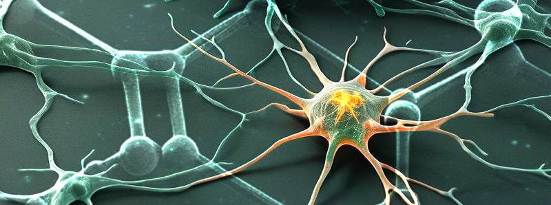 Neuroni alterati dagli astrociti eccitati dal grafene