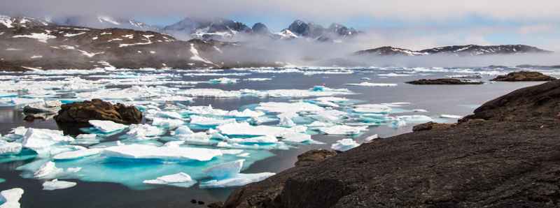 Flussi di CO2 nella tundra artica