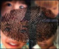Individuare la razza attraverso le impronte digitali