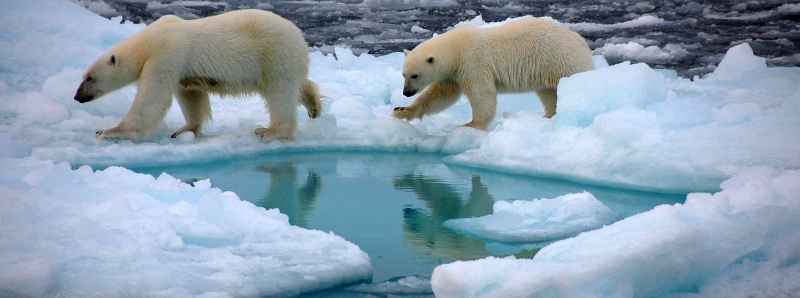 Polo nord senza ghiacci prima del 2050