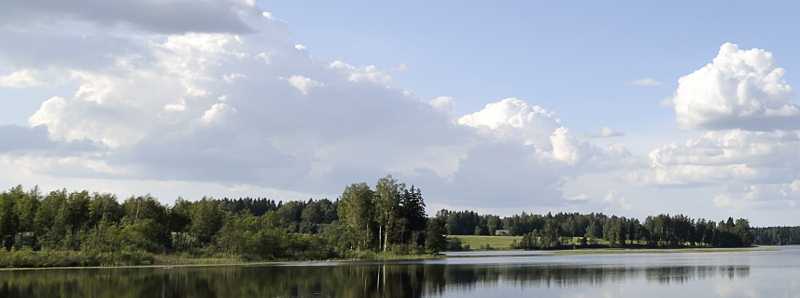 La perdita di foreste naturali in Estonia