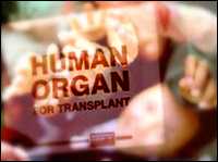 Organi umani