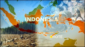 Deforestazioni in Indonesia