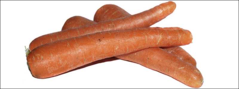 Proprietà nutritive e curative delle carote
