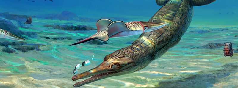 Scoperto un antico coccodrillo marino