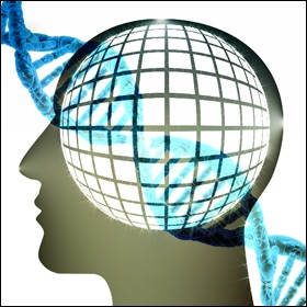 DNA cervello